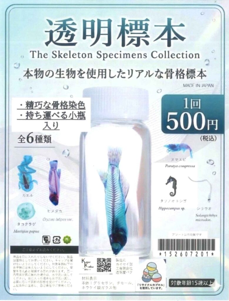 透明標本のカプセルトイ