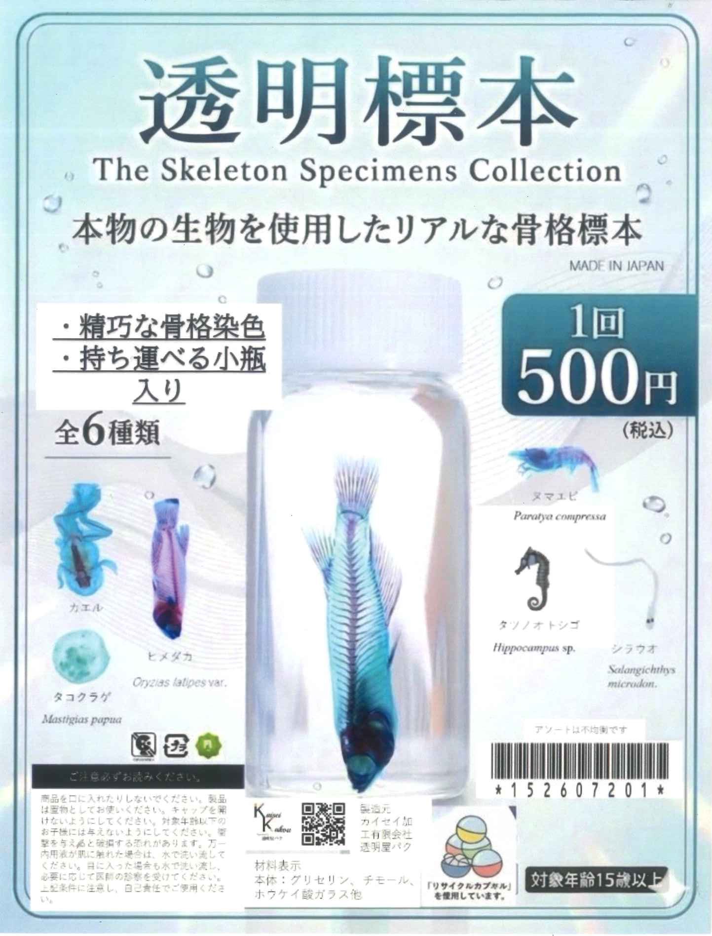 透明標本 ガチャガチャ ガシャポン 当たり 予約・購入】透明標本のカプセルトイ /設置場所| ガチャガチャアイランド