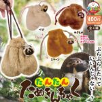 たんたんたぬきんちゃく