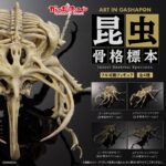 Art in Gashapon 昆虫骨格標本