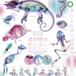 STC 新世界 透明標本 めじるしマスコット