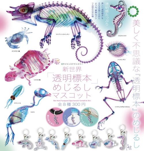 STC 新世界 透明標本 めじるしマスコット