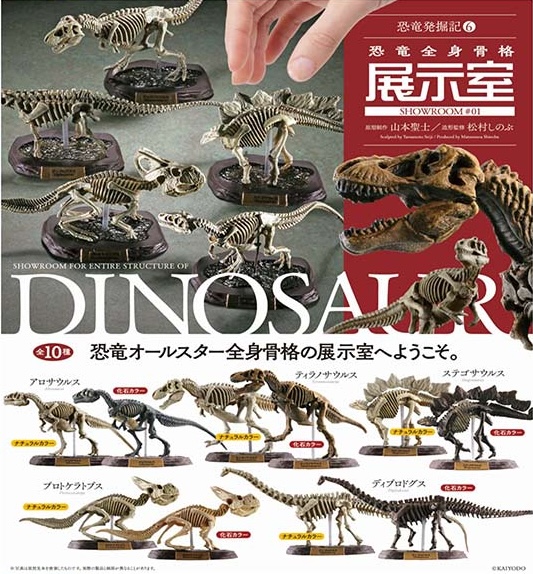 恐竜発掘記6 恐竜全身骨格展示室