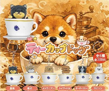 ティーカップドッグ