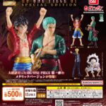 HG ONE PIECE 01 SPECIAL EDITION