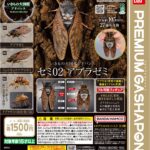 いきもの大図鑑アドバンス セミ02 アブラゼミ