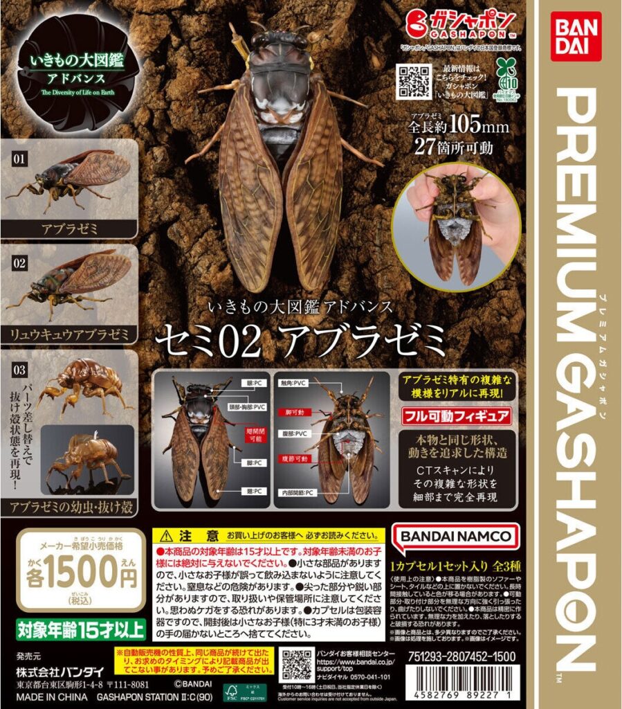 いきもの大図鑑アドバンス セミ02 アブラゼミ