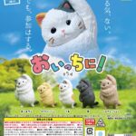 おいっちに！
