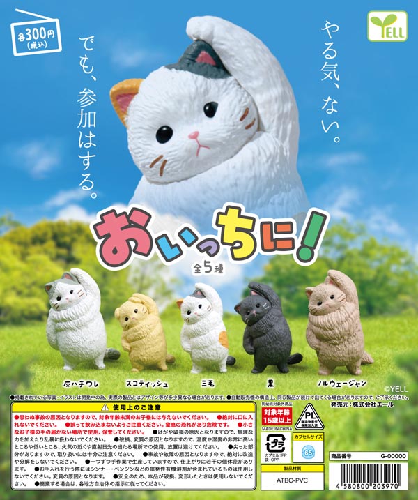 おいっちに！