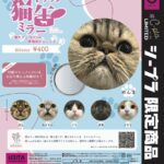 ドアップ猫缶ミラー 〜猫カフェ MOCHA 原宿店のニャンズ〜