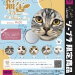 ドアップ猫缶ミラー 〜猫カフェ MOCHA 天神大名店のニャンズ〜