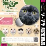 ドアップ猫缶ミラー 〜猫カフェ MOCHA 京都河原町店のニャンズ〜