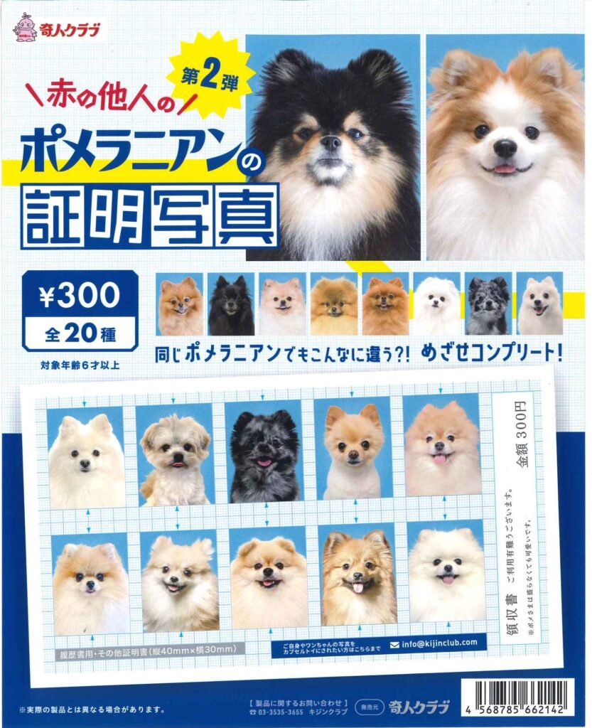 赤の他人のポメラニアンの証明写真第二弾