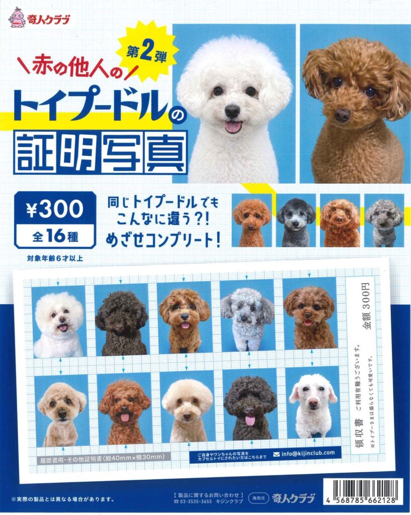 赤の他人のトイプードルの証明写真第二弾