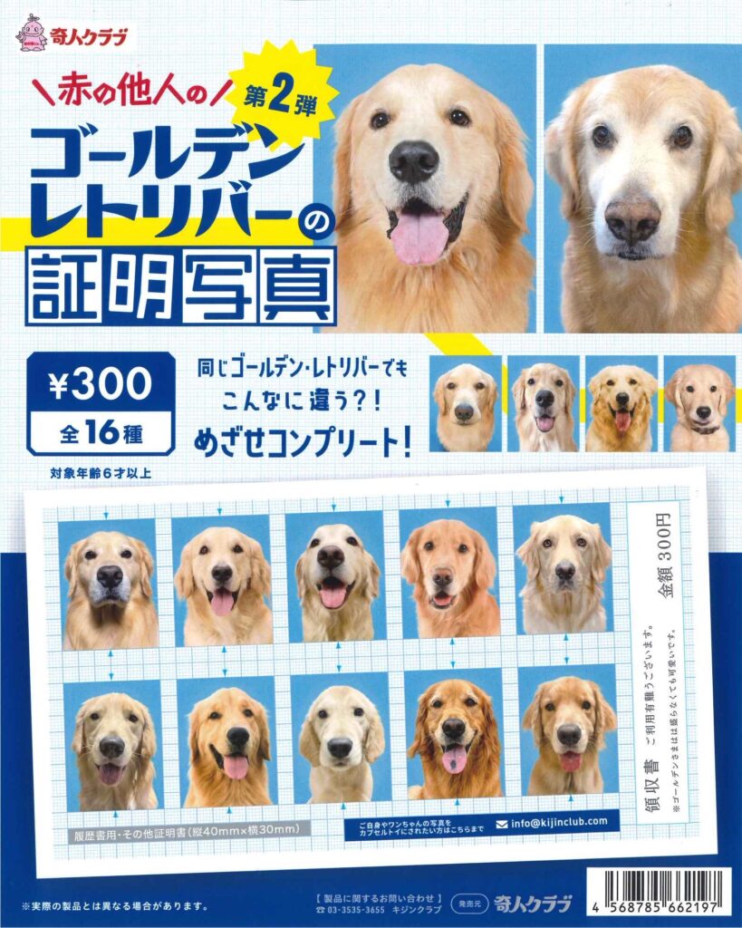 赤の他人のゴールデンレトリバーの証明写真第二弾
