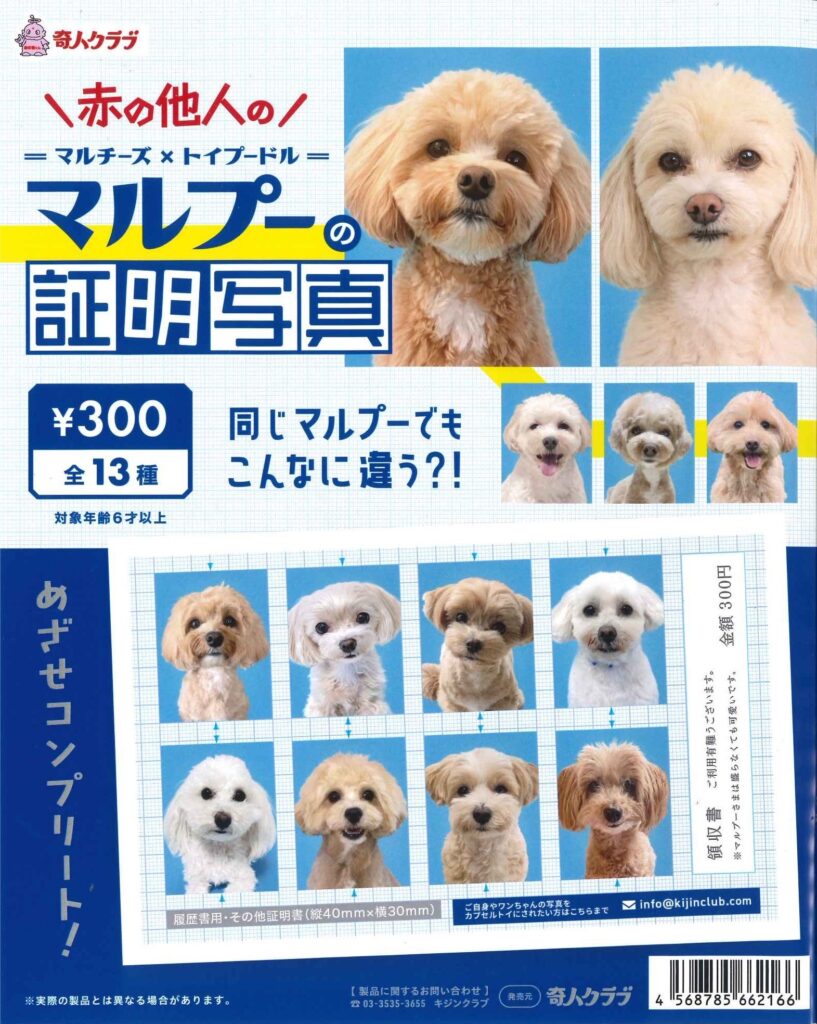 マルプーの証明写真