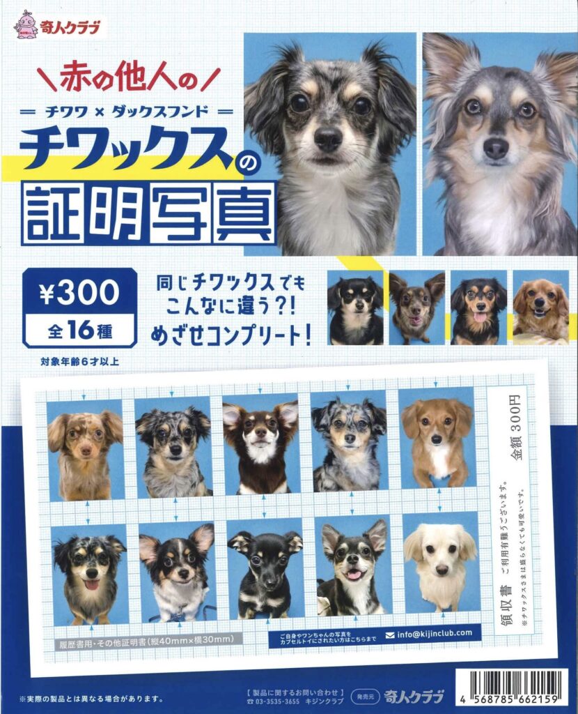 チワックスの証明写真