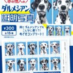 ダルメシアンの証明写真