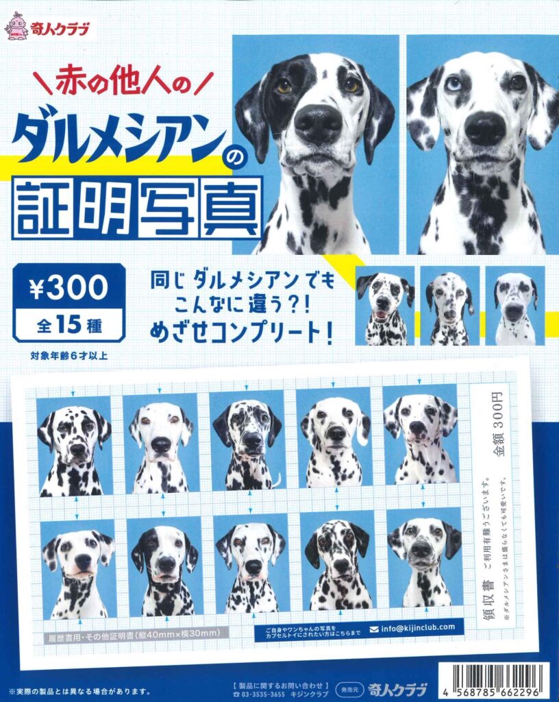 ダルメシアンの証明写真