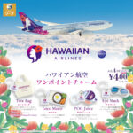 ハワイアン航空 ワンポイントチャーム