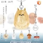 ジュエリーヌ めじるしコレクション