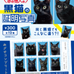黒猫の証明写真
