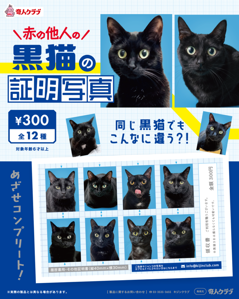 黒猫の証明写真
