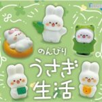 のんびりうさぎ生活