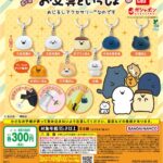 お文具といっしょ めじるしアクセサリーなのです