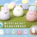 ぼってり！ふにふに！まんまるうさぎさん2
