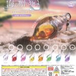 海の贈り物 まき貝のmineチャーム