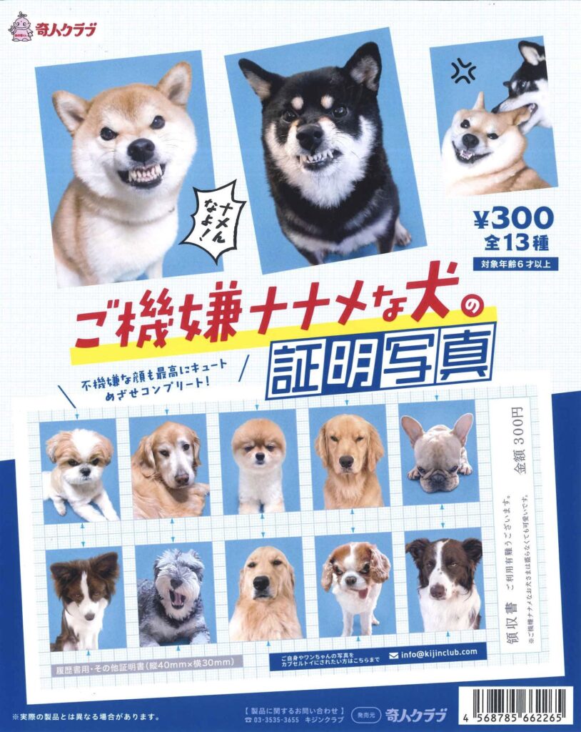 ご機嫌ナナメな犬の証明写真