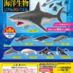 海洋生物リアル3Dパズル