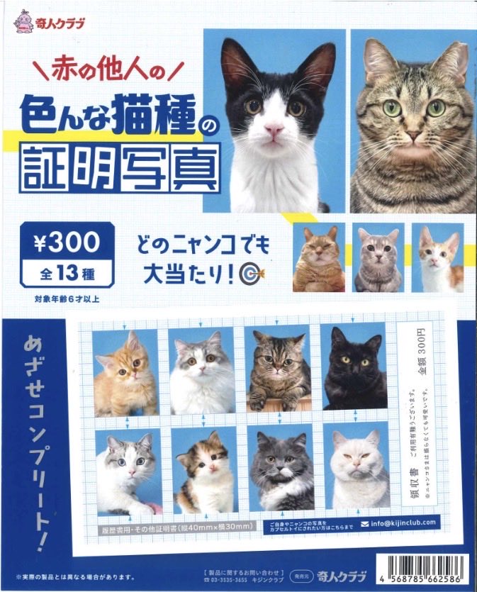 赤の他人の色んな猫種の証明写真