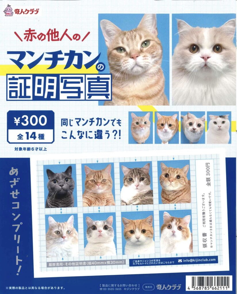 赤の他人のマンチカンの証明写真