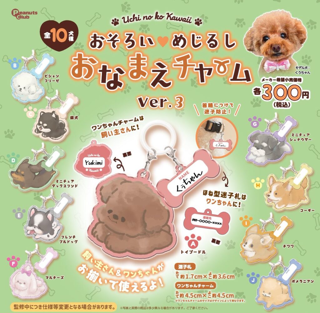 おそろいめじるしおなまえチャーム Ver.3