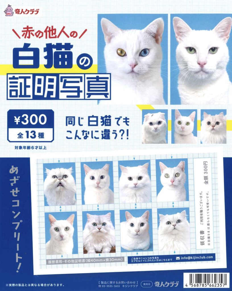 赤の他人の白猫の証明写真