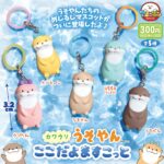 カワウソうそやん ここだよますこっと