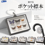 旅するポケット標本 蝶のめじるしチャーム