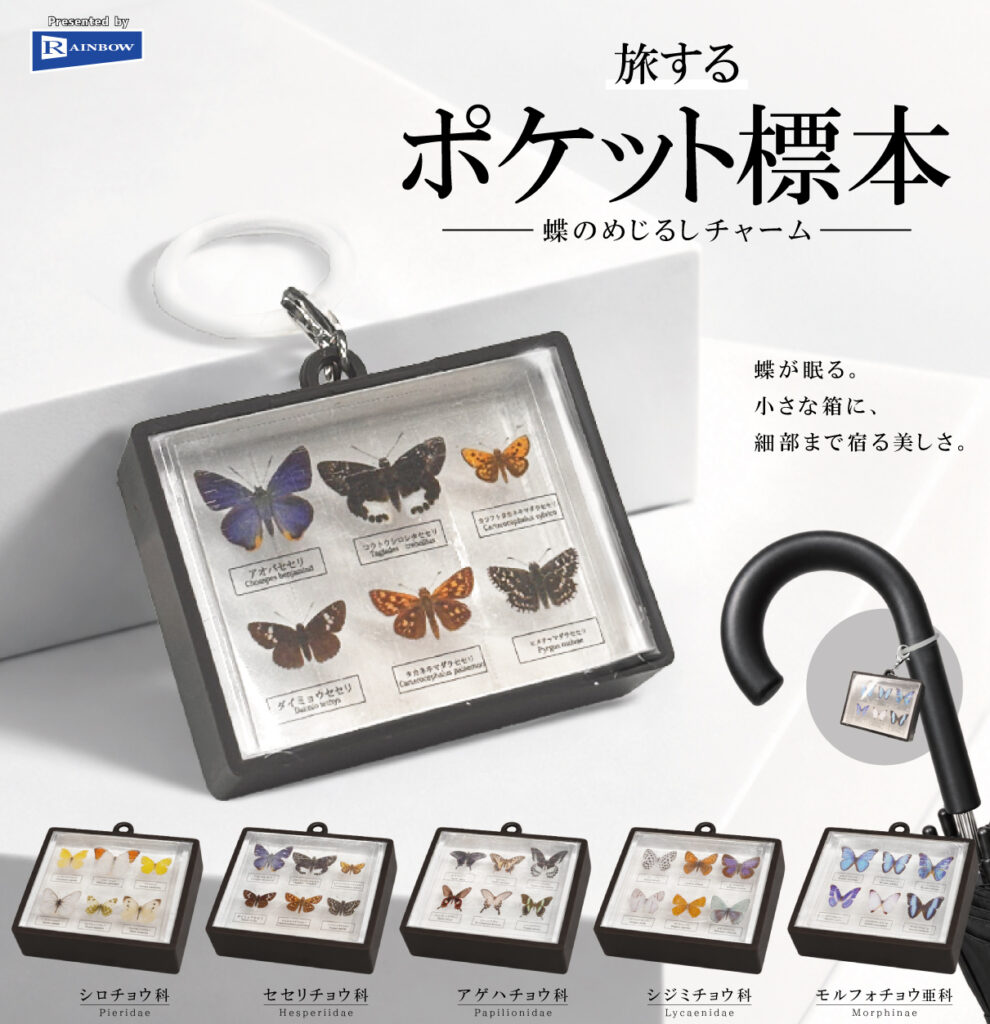 旅するポケット標本 蝶のめじるしチャーム