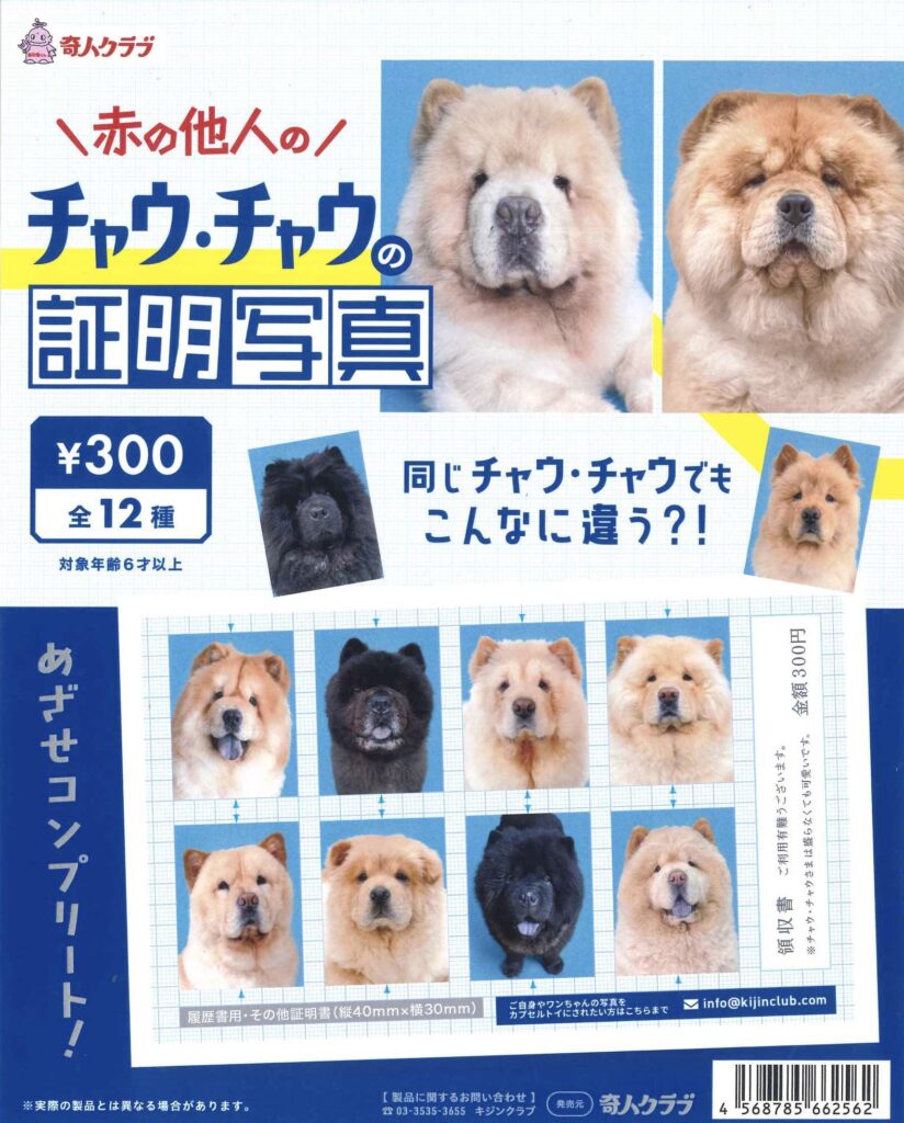 赤の他人のチャウ・チャウの証明写真
