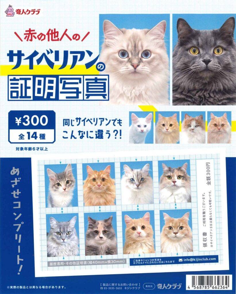 赤の他人のサイベリアンの証明写真