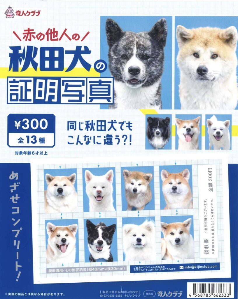 赤の他人の秋田犬の証明写真
