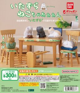 いたずらねこちゃあぁぁん